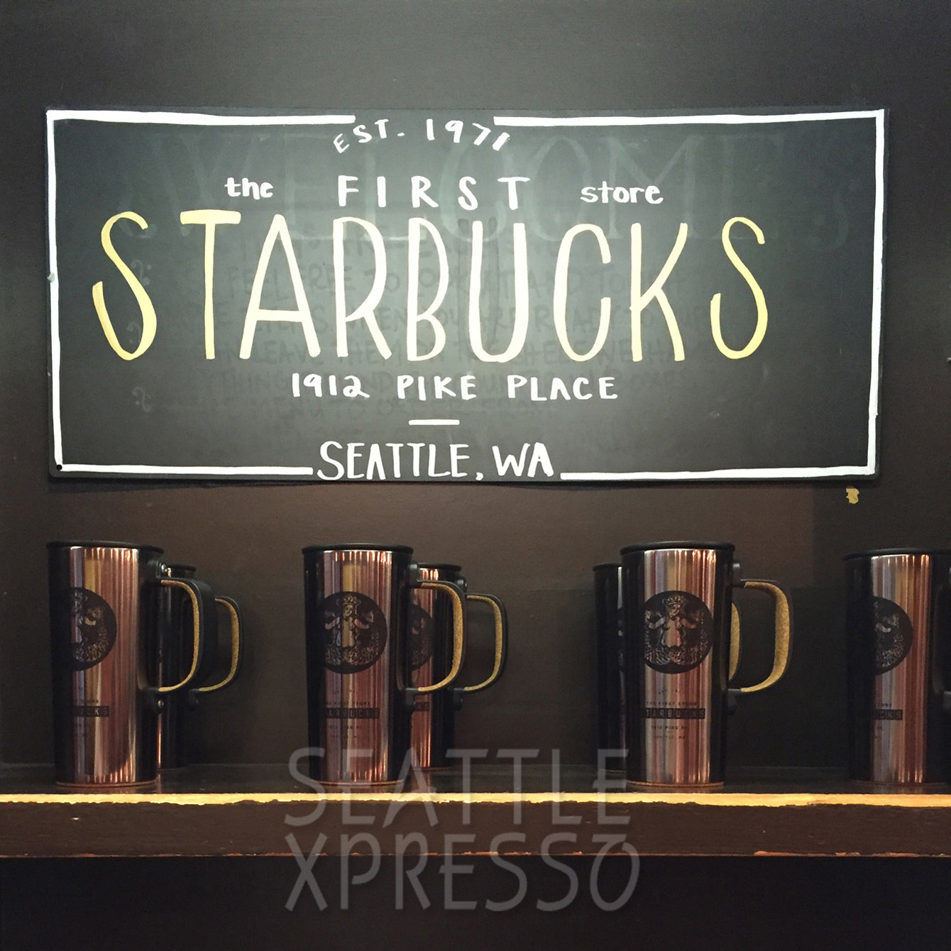 Starbucks Pike Place Stainless Steel Handle Tumbler